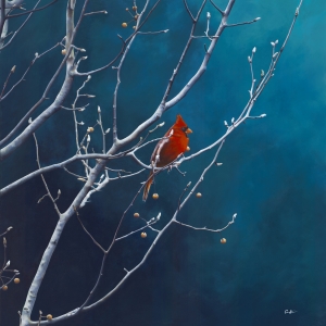 Out on a Limb