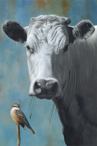 The Bovine Miss M