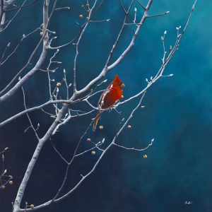 Out on a Limb